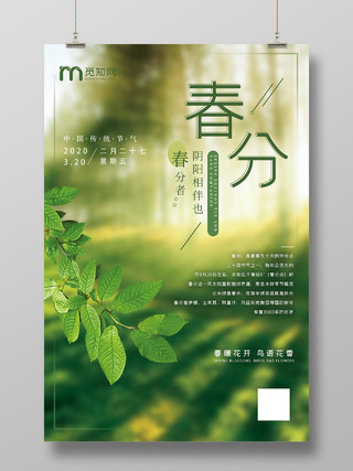 绿色意境春分24二十四传统节气海报
